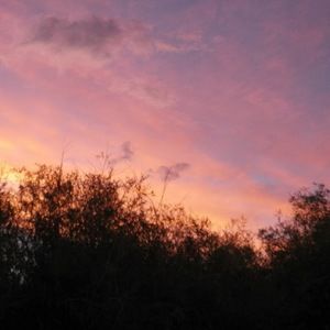 Meet your Posher, Talasi